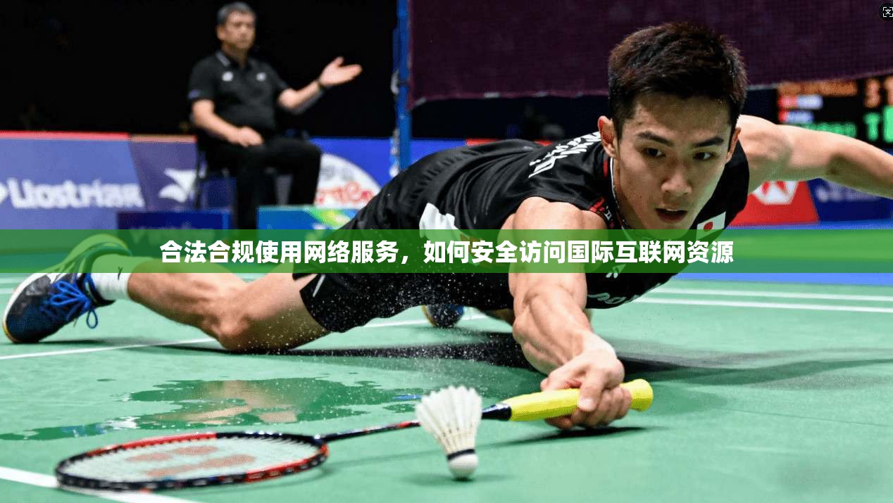 合法合规使用网络服务，如何安全访问国际互联网资源  第1张