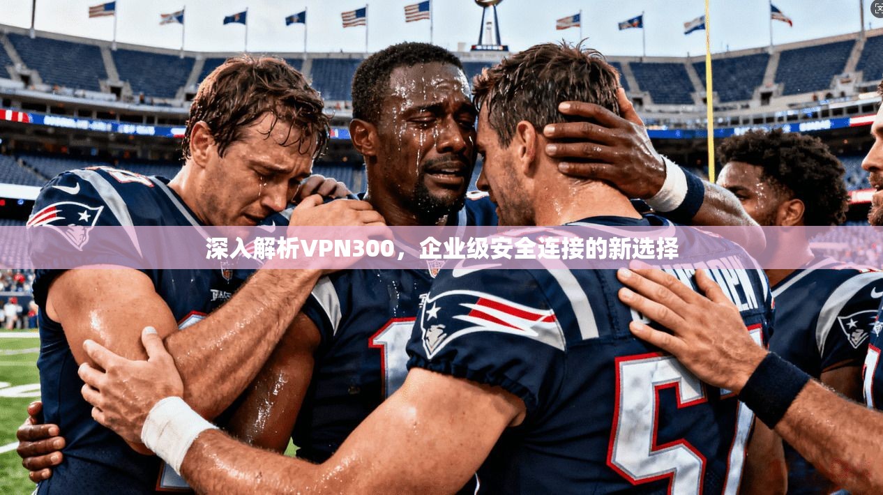 深入解析VPN300,企业级安全连接的新选择 第1张 深入解析VPN300,企业级安全连接的新选择 第1张