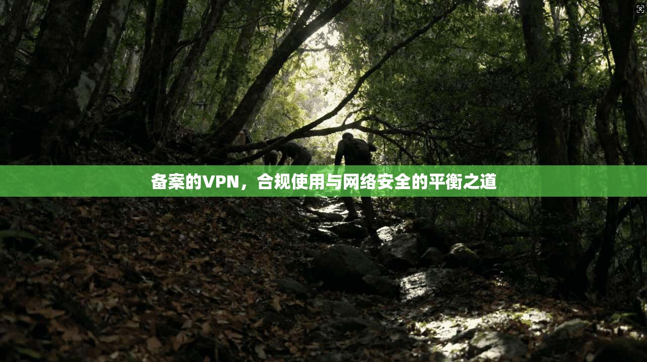 备案的VPN，合规使用与网络安全的平衡之道  第1张