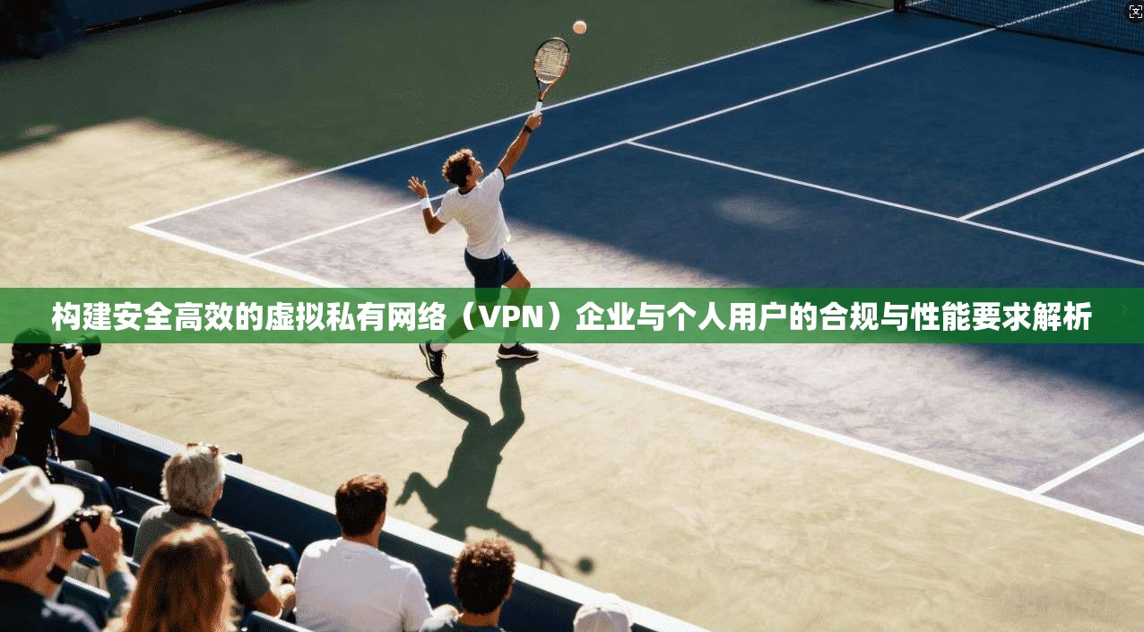 构建安全高效的虚拟私有网络（VPN）企业与个人用户的合规与性能要求解析  第1张