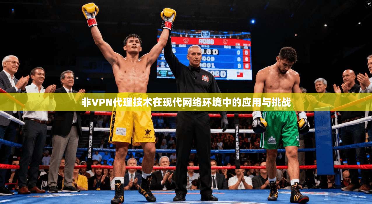 非VPN代理技术在现代网络环境中的应用与挑战  第1张