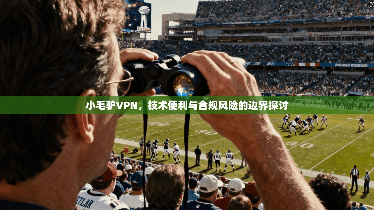 小毛驴VPN，技术便利与合规风险的边界探讨  第1张