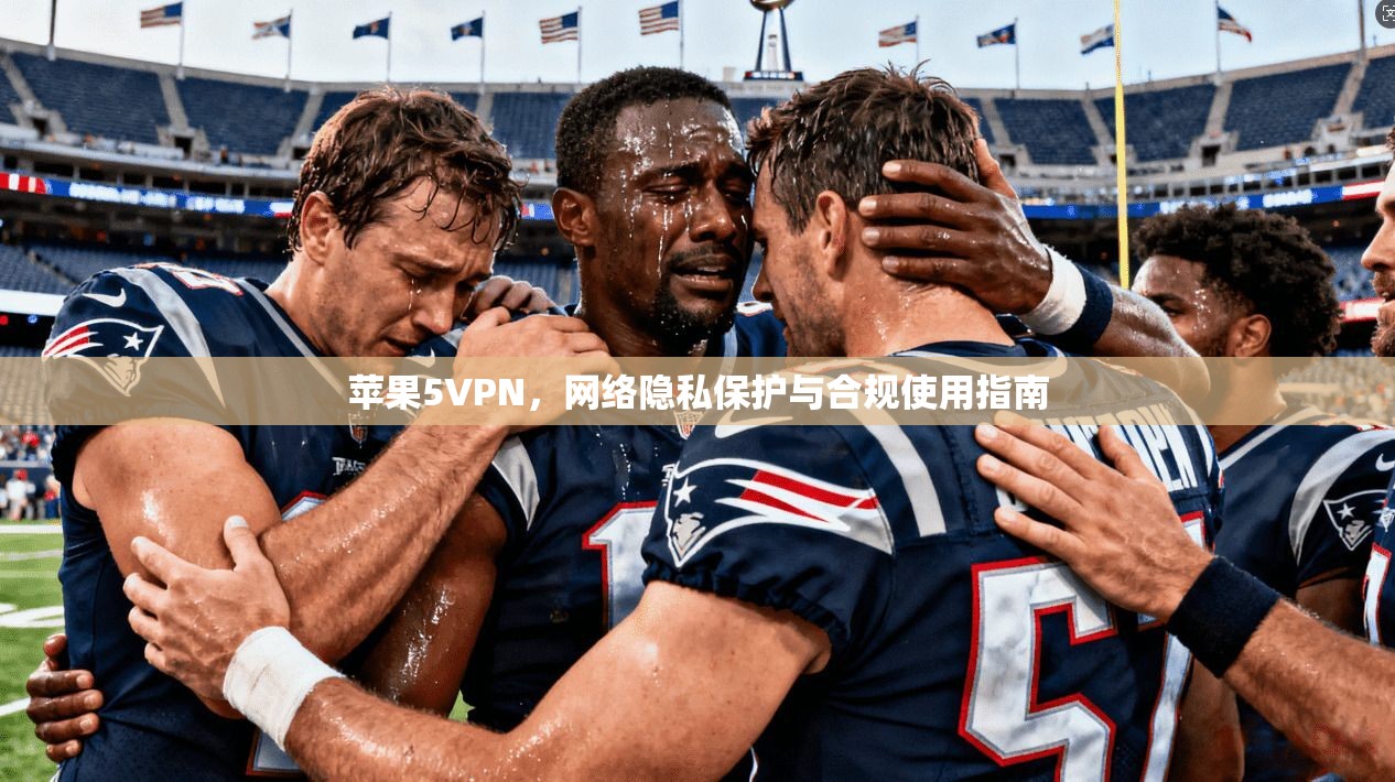 苹果5VPN，网络隐私保护与合规使用指南  第1张