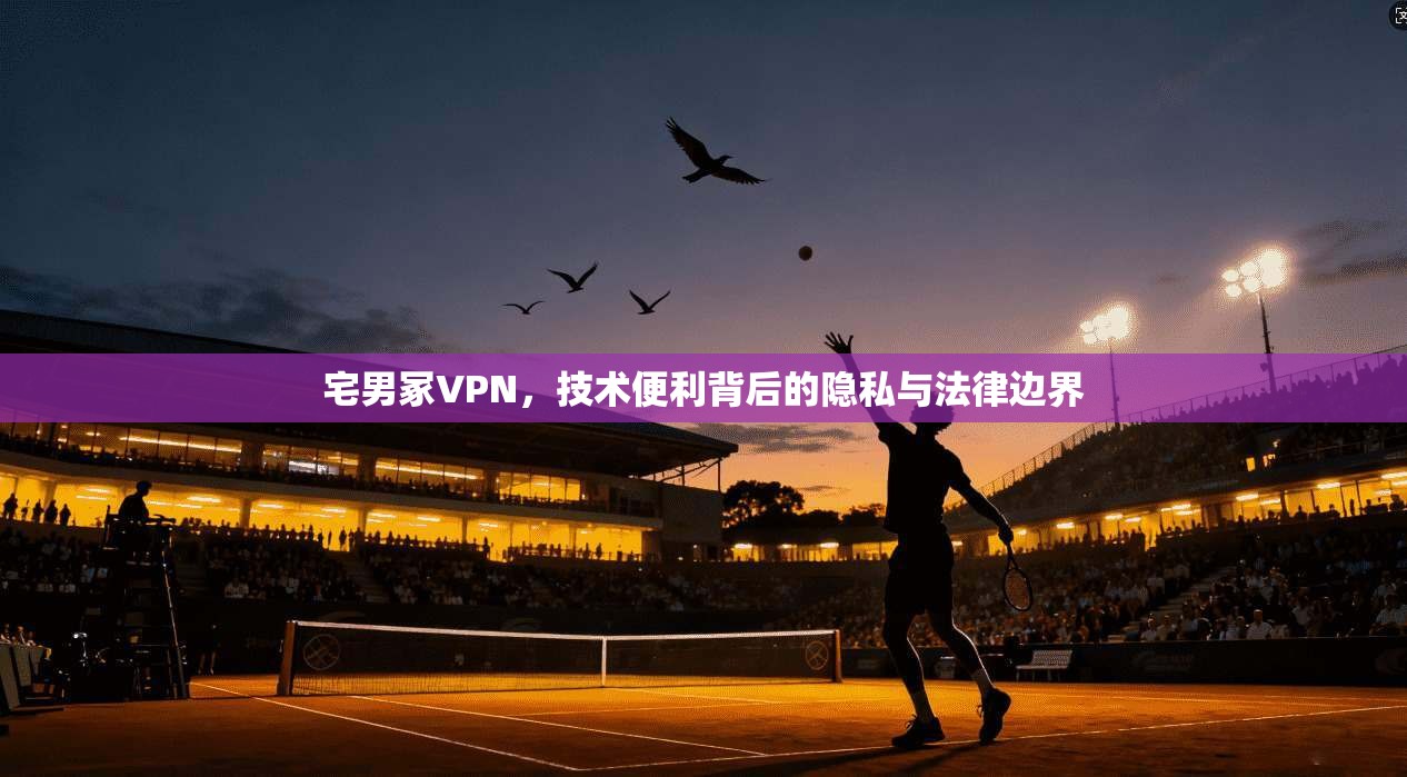 宅男冢VPN，技术便利背后的隐私与法律边界  第1张