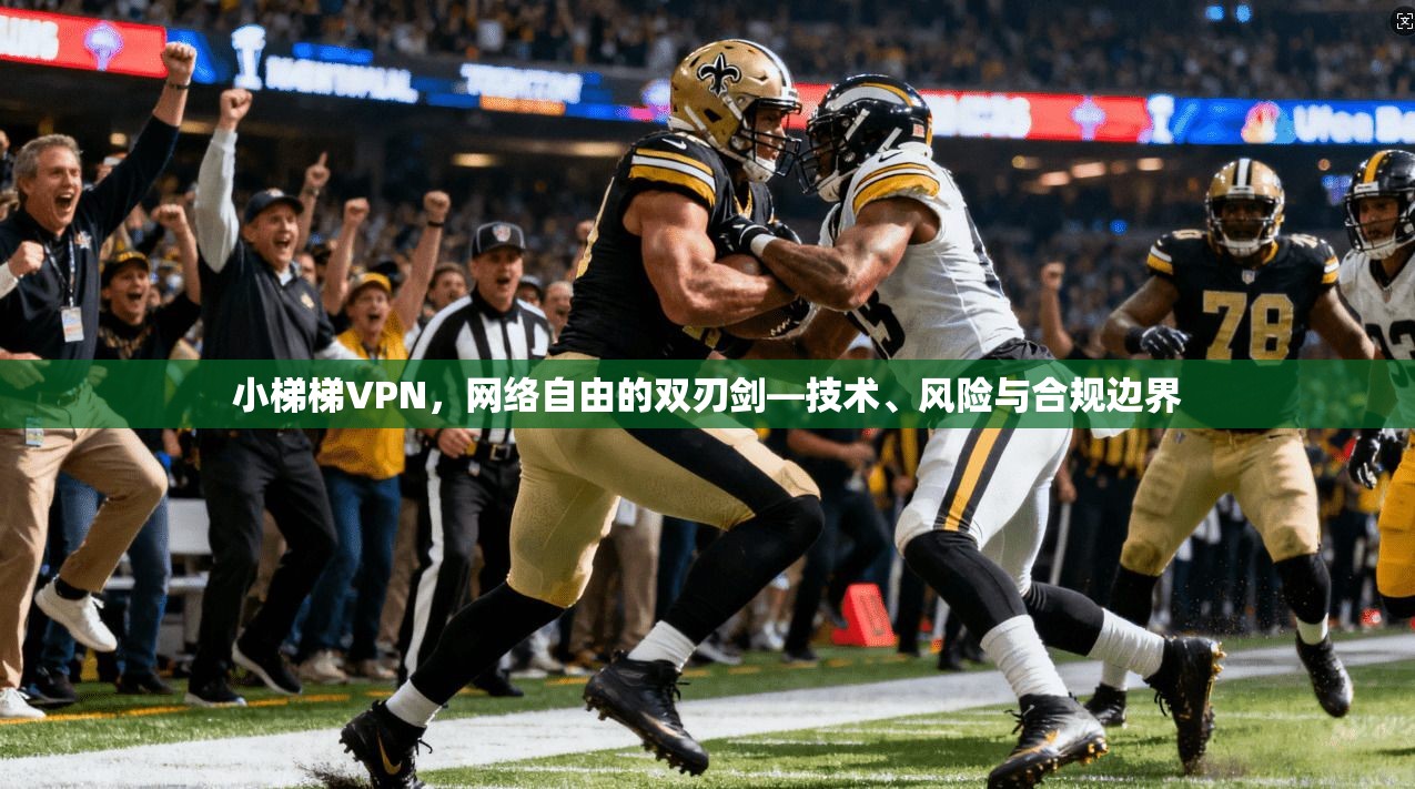 小梯梯VPN，网络自由的双刃剑—技术、风险与合规边界  第1张