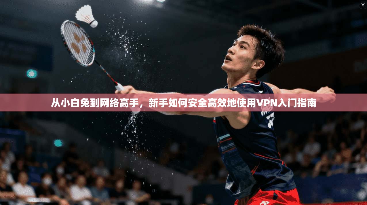 从小白兔到网络高手，新手如何安全高效地使用VPN入门指南  第1张