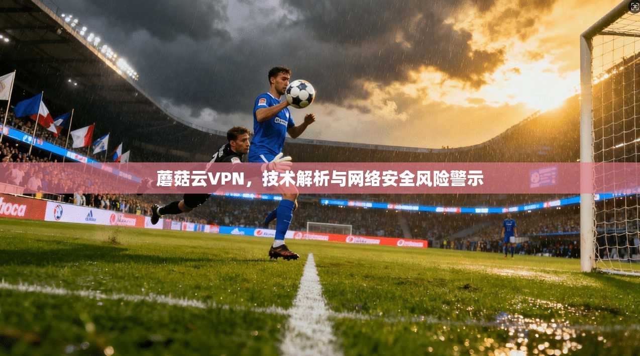 蘑菇云VPN，技术解析与网络安全风险警示  第1张
