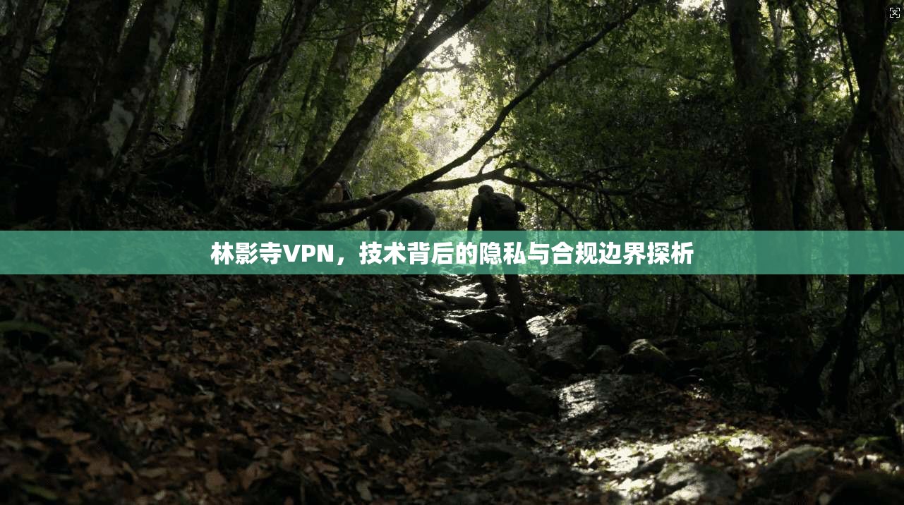 林影寺VPN，技术背后的隐私与合规边界探析  第1张