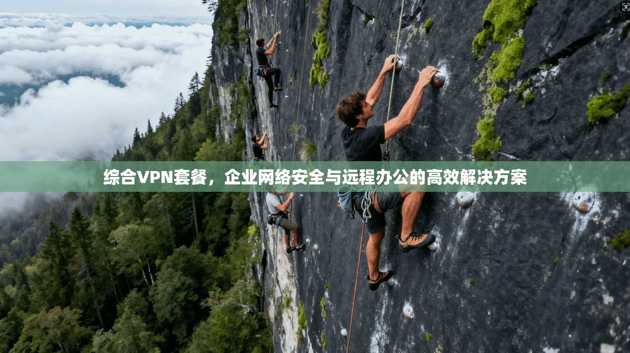 综合VPN套餐,企业网络安全与远程办公的高效解决方案 第1张 综合VPN套餐,企业网络安全与远程办公的高效解决方案 第1张