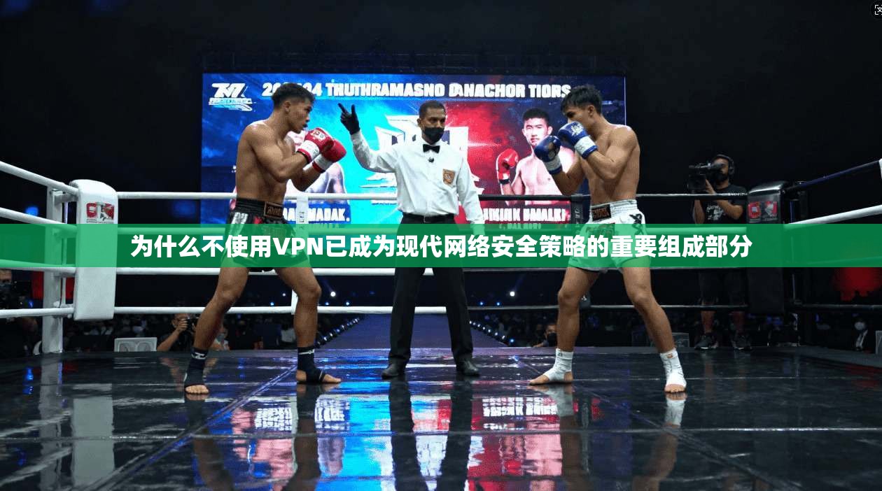 为什么不使用VPN已成为现代网络安全策略的重要组成部分 第1张 为什么不使用VPN已成为现代网络安全策略的重要组成部分 第1张
