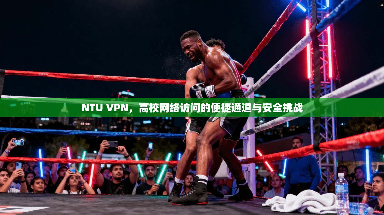 NTU VPN，高校网络访问的便捷通道与安全挑战  第1张