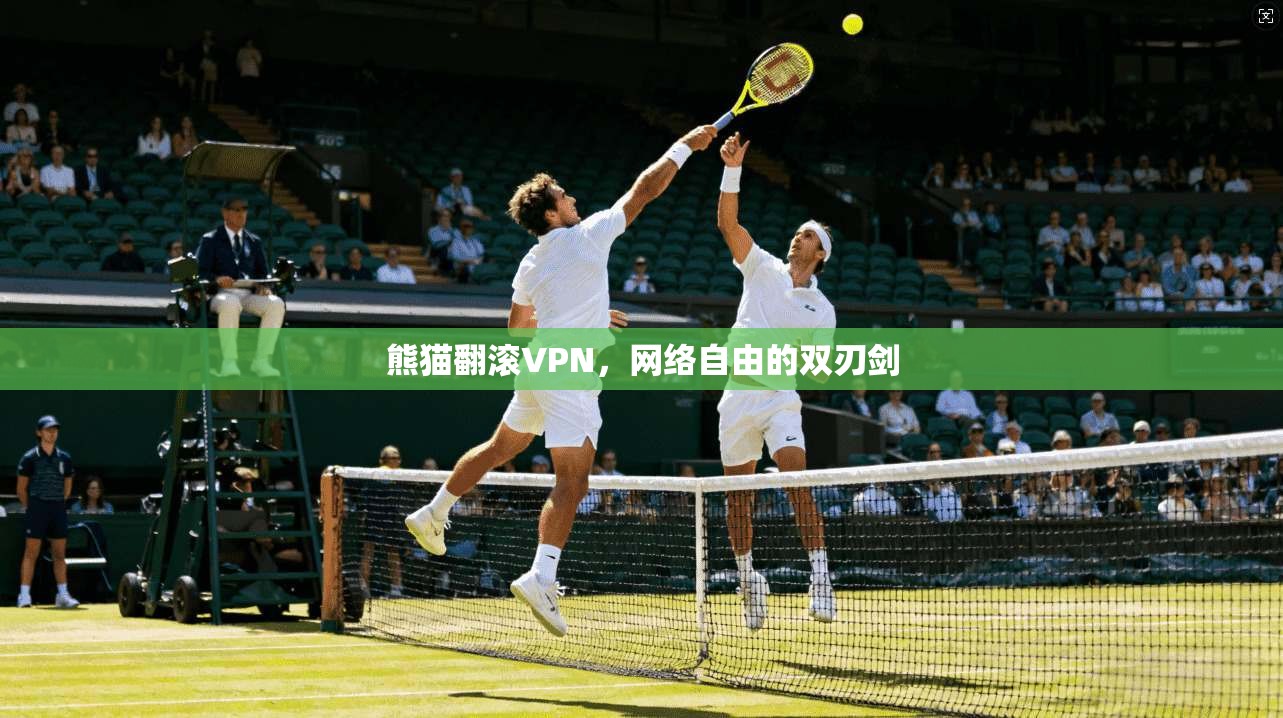 熊猫翻滚VPN，网络自由的双刃剑  第1张