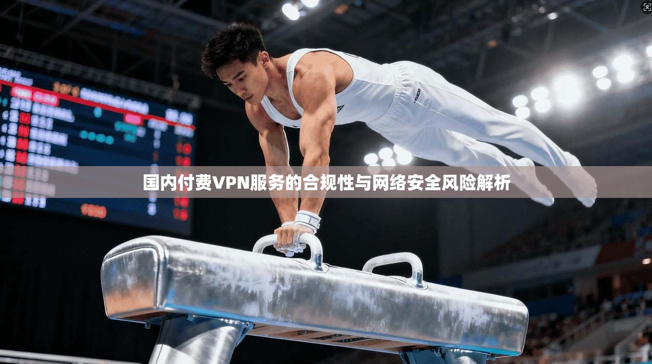 国内付费VPN服务的合规性与网络安全风险解析  第1张