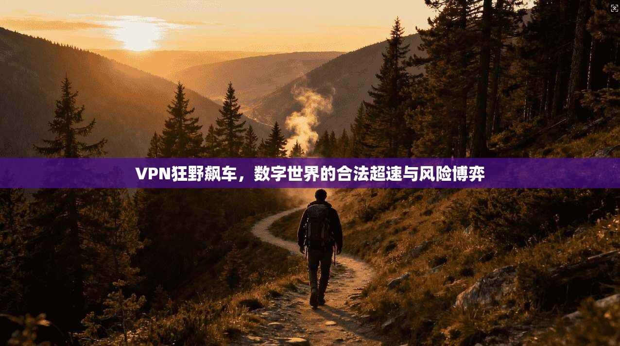 VPN狂野飙车，数字世界的合法超速与风险博弈  第1张