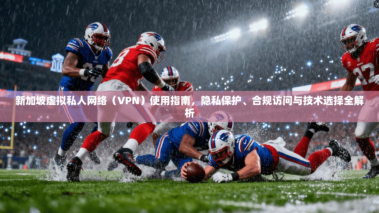 新加坡虚拟私人网络（VPN）使用指南，隐私保护、合规访问与技术选择全解析  第1张
