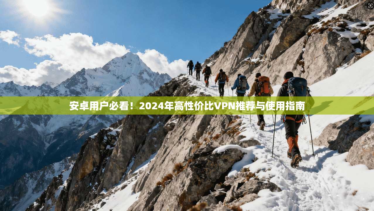 安卓用户必看！2024年高性价比VPN推荐与使用指南  第1张
