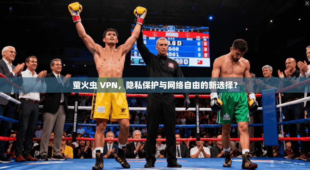 萤火虫 VPN,隐私保护与网络自由的新选择? 第1张 萤火虫 VPN,隐私保护与网络自由的新选择? 第1张