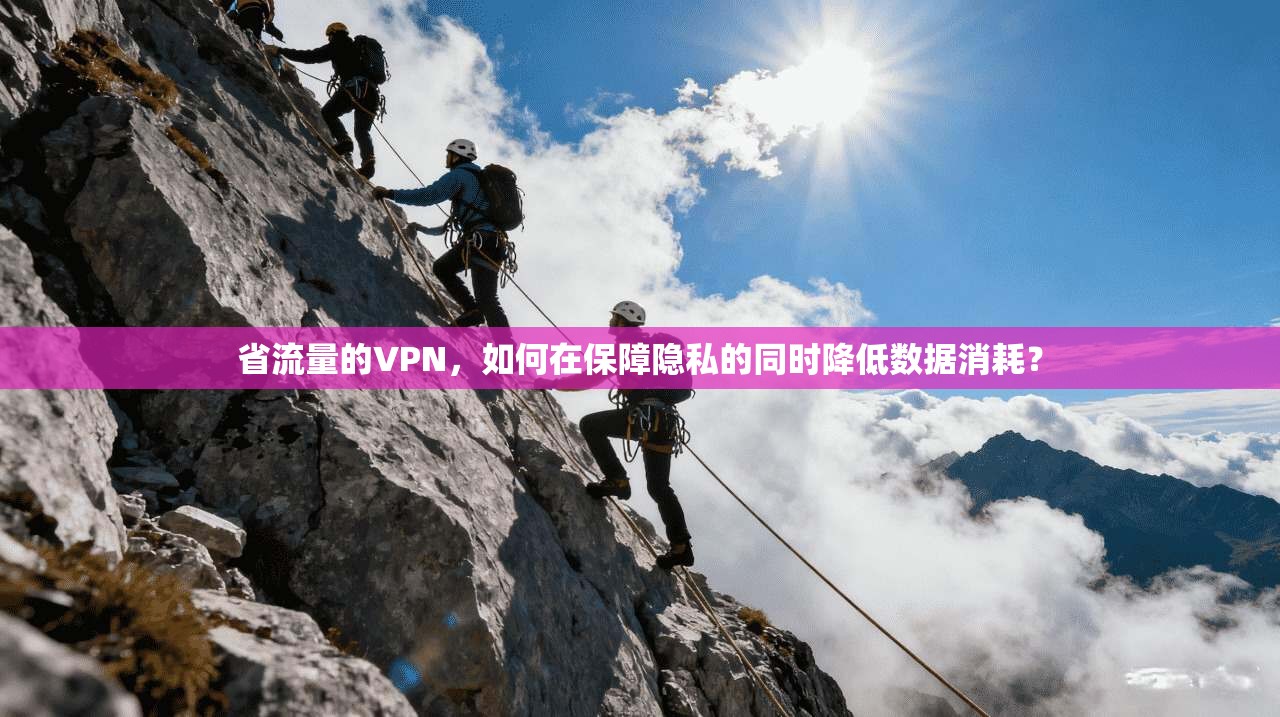省流量的VPN，如何在保障隐私的同时降低数据消耗？  第1张