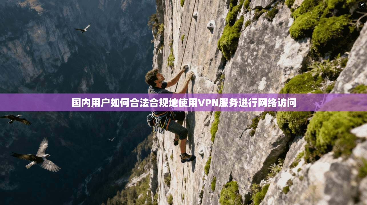 国内用户如何合法合规地使用VPN服务进行网络访问  第1张