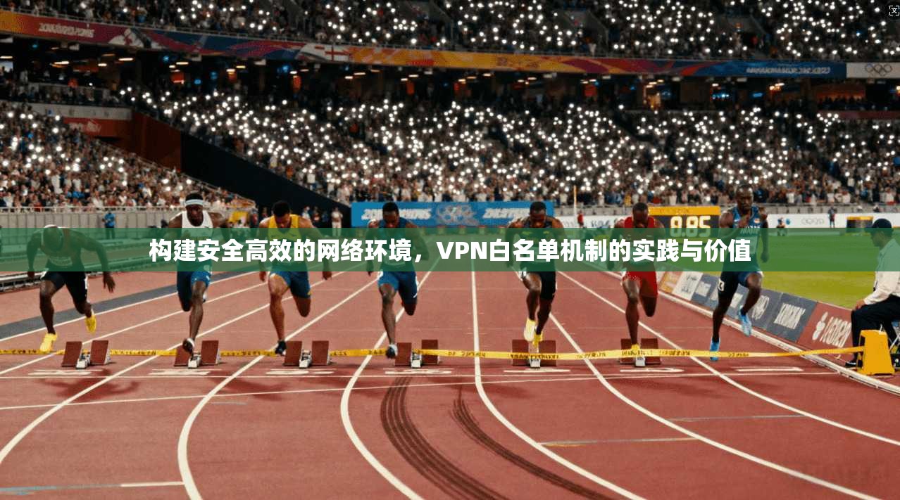 构建安全高效的网络环境，VPN白名单机制的实践与价值  第1张