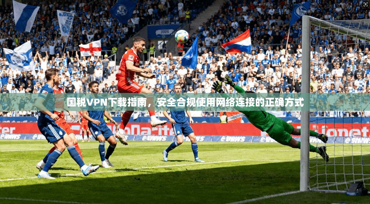 国税VPN下载指南，安全合规使用网络连接的正确方式  第1张