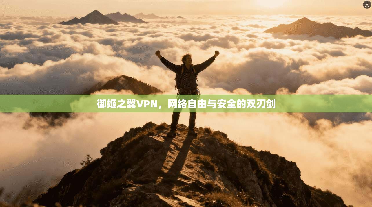 御姬之翼VPN，网络自由与安全的双刃剑  第1张
