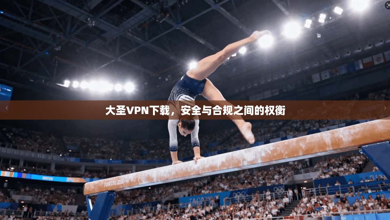 大圣VPN下载，安全与合规之间的权衡  第1张