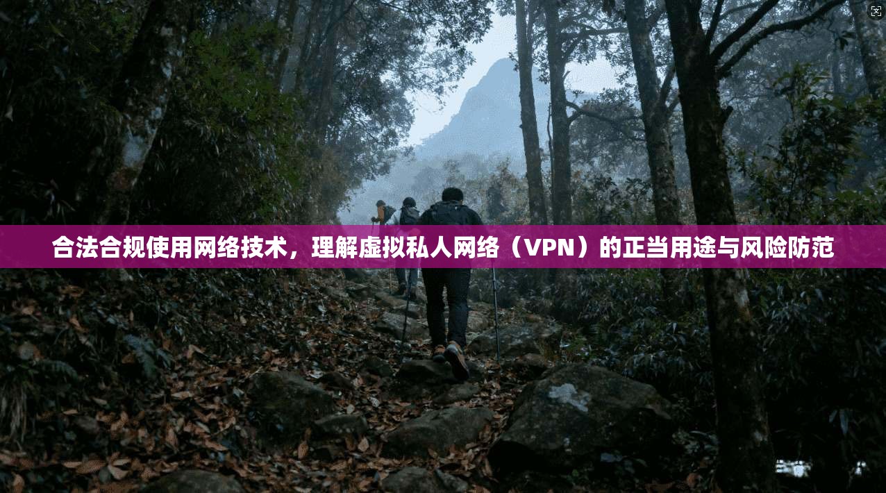 合法合规使用网络技术，理解虚拟私人网络（VPN）的正当用途与风险防范  第1张