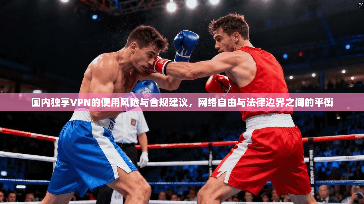 国内独享VPN的使用风险与合规建议,网络自由与法律边界之间的平衡 第1张 国内独享VPN的使用风险与合规建议,网络自由与法律边界之间的平衡 第1张