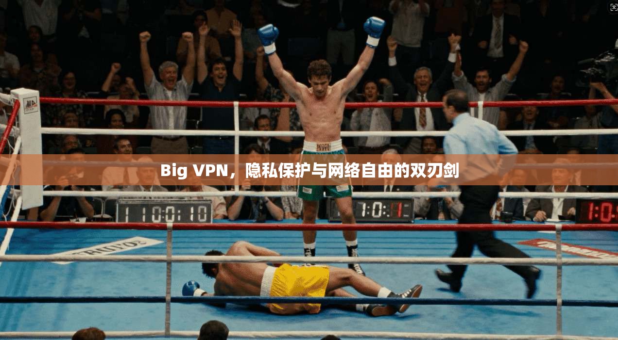 Big VPN，隐私保护与网络自由的双刃剑  第1张