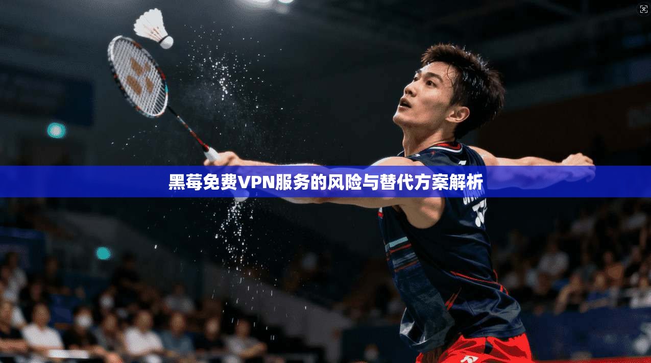 黑莓免费VPN服务的风险与替代方案解析  第1张
