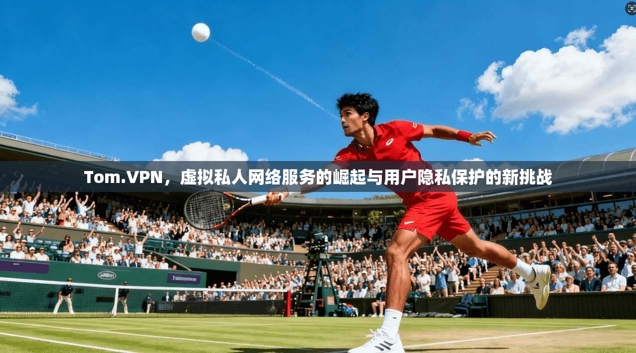 Tom.VPN，虚拟私人网络服务的崛起与用户隐私保护的新挑战  第1张