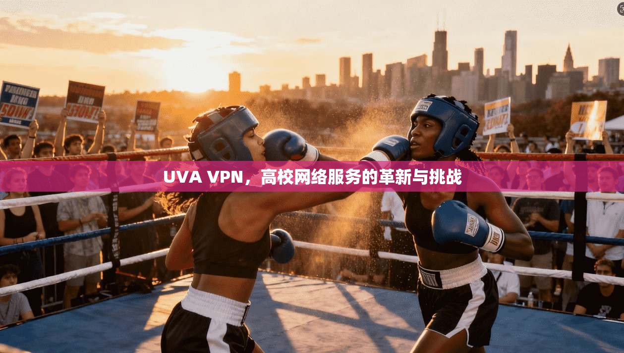 UVA VPN，高校网络服务的革新与挑战  第1张