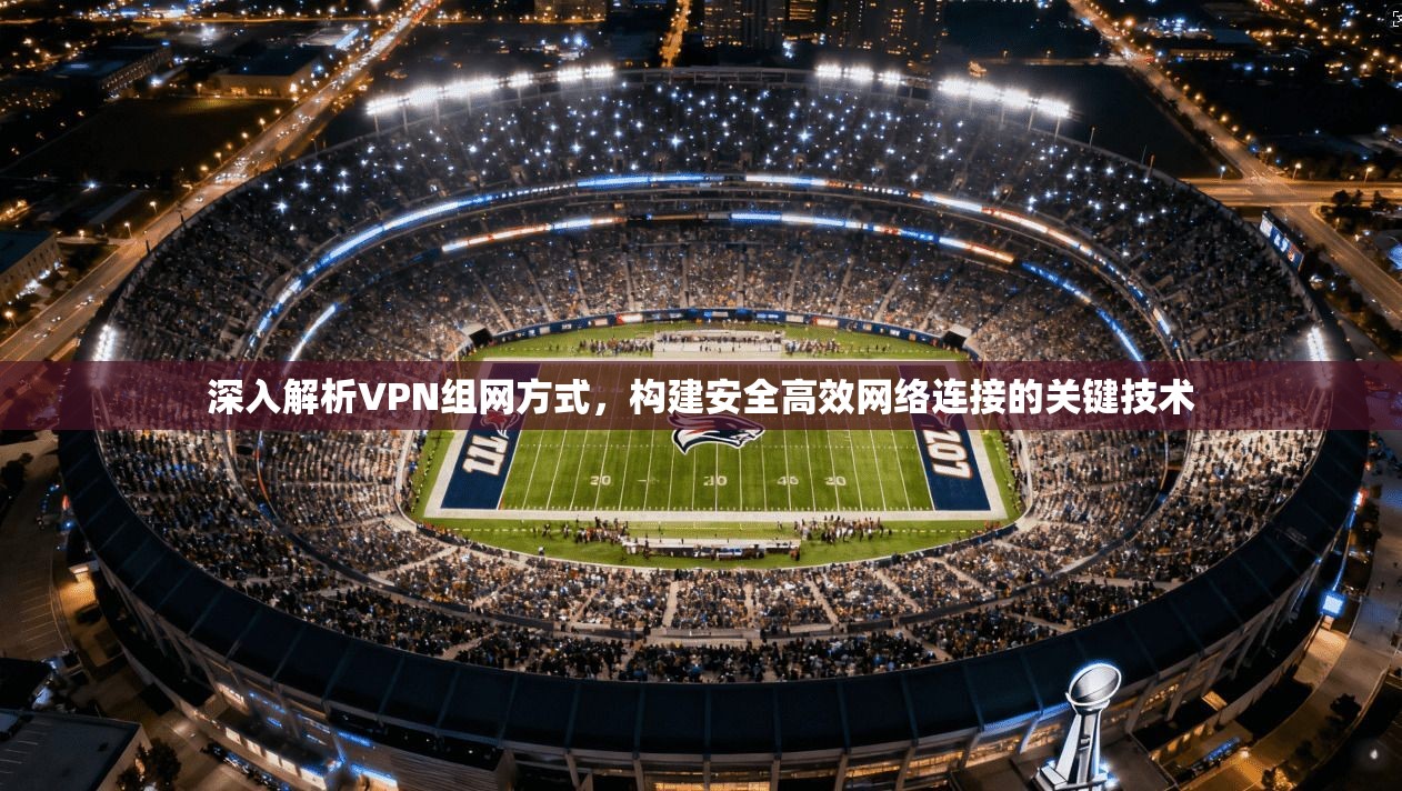 深入解析VPN组网方式，构建安全高效网络连接的关键技术  第1张