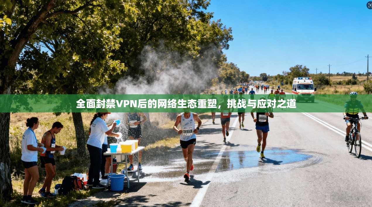 全面封禁VPN后的网络生态重塑，挑战与应对之道  第1张