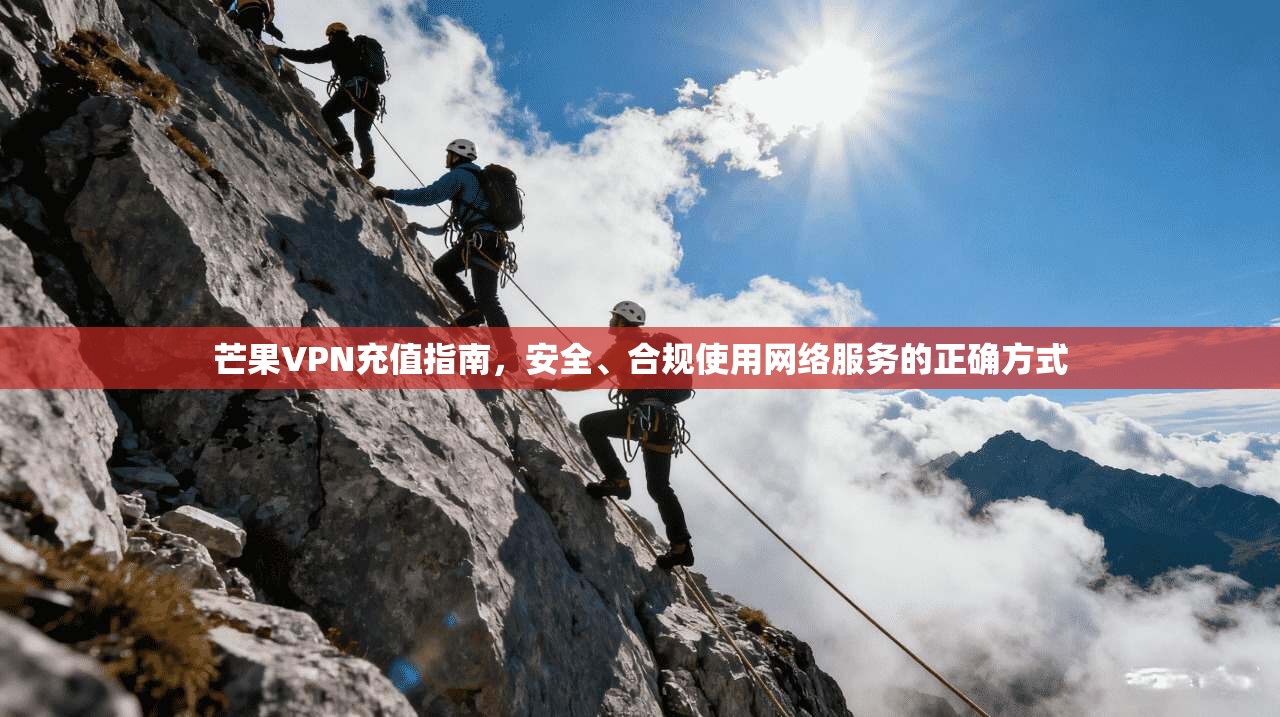 芒果VPN充值指南，安全、合规使用网络服务的正确方式  第1张