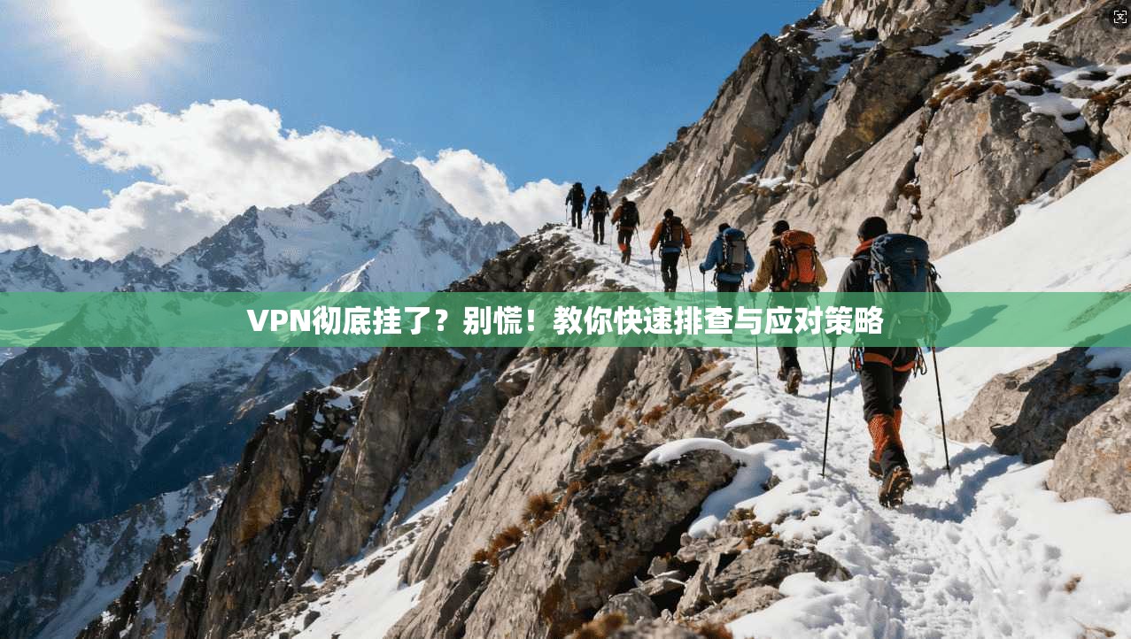 VPN彻底挂了？别慌！教你快速排查与应对策略  第1张