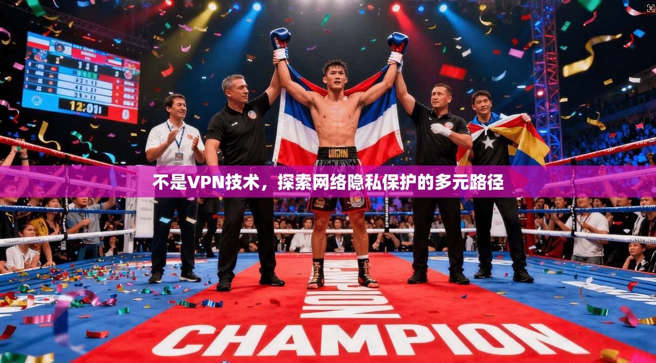不是VPN技术，探索网络隐私保护的多元路径  第1张
