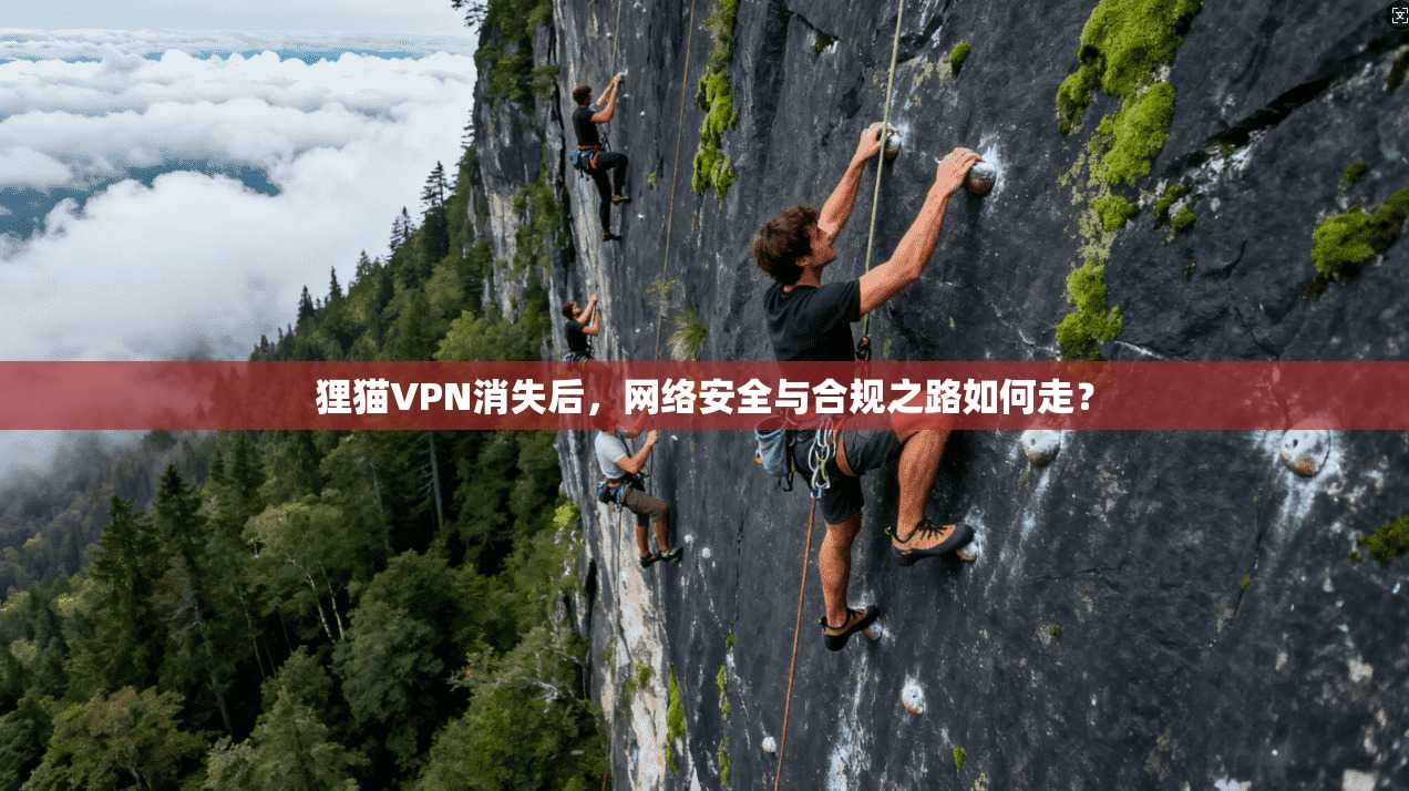 狸猫VPN消失后，网络安全与合规之路如何走？  第1张