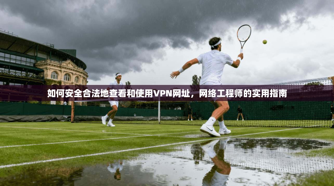 如何安全合法地查看和使用VPN网址，网络工程师的实用指南  第1张