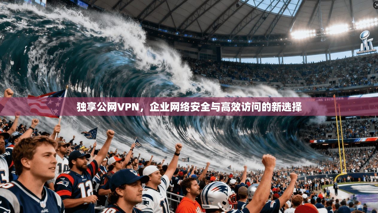 独享公网VPN，企业网络安全与高效访问的新选择  第1张