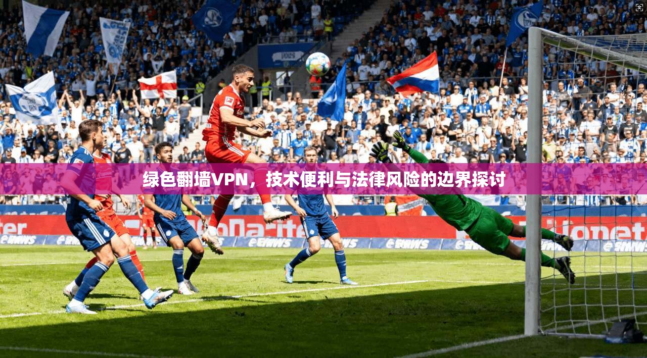 绿色翻墙VPN，技术便利与法律风险的边界探讨  第1张