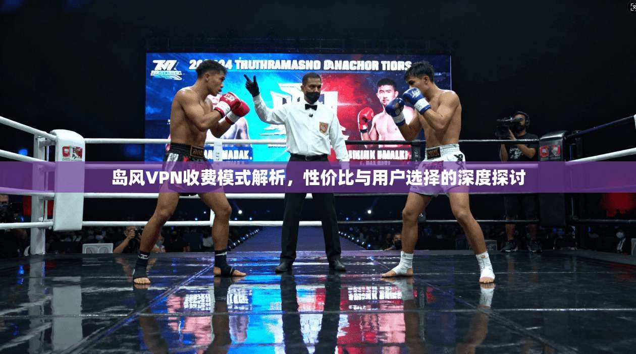 岛风VPN收费模式解析，性价比与用户选择的深度探讨  第1张
