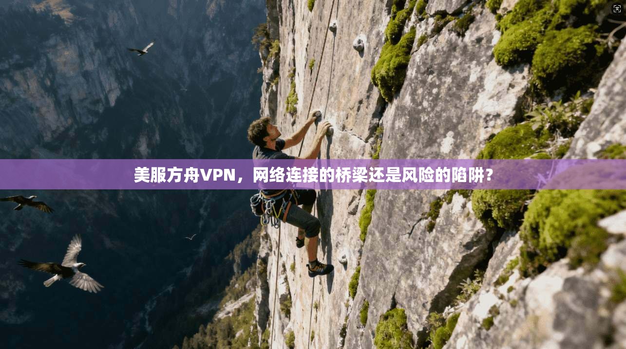 美服方舟VPN，网络连接的桥梁还是风险的陷阱？  第1张