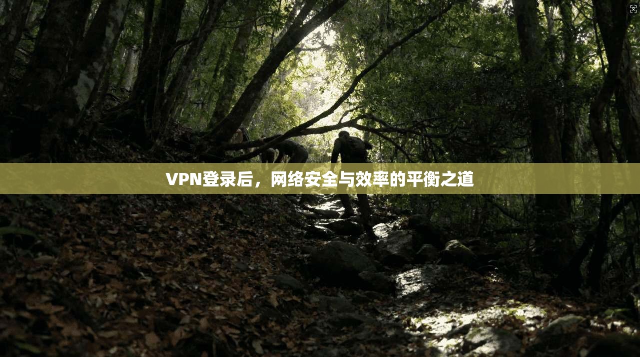 VPN登录后，网络安全与效率的平衡之道  第1张