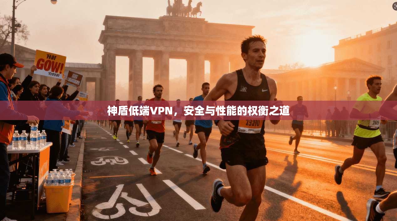 神盾低端VPN，安全与性能的权衡之道  第1张