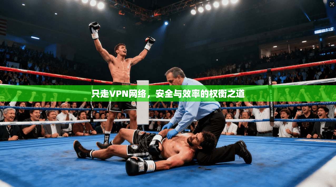 只走VPN网络,安全与效率的权衡之道 第1张 只走VPN网络,安全与效率的权衡之道 第1张