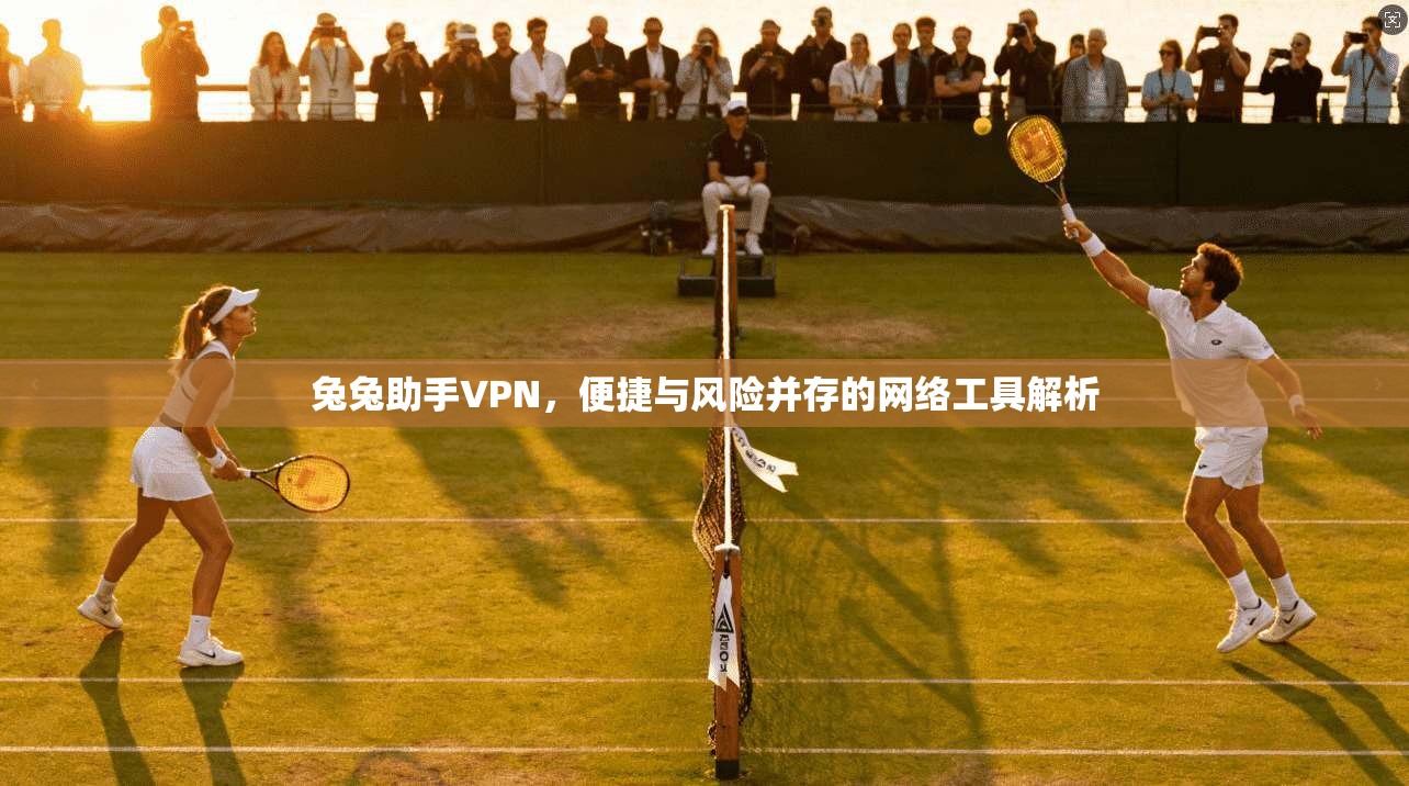 兔兔助手VPN，便捷与风险并存的网络工具解析  第1张