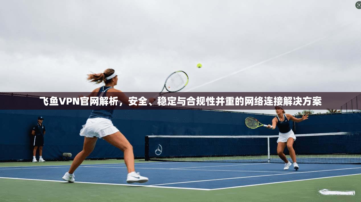 飞鱼VPN官网解析，安全、稳定与合规性并重的网络连接解决方案  第1张