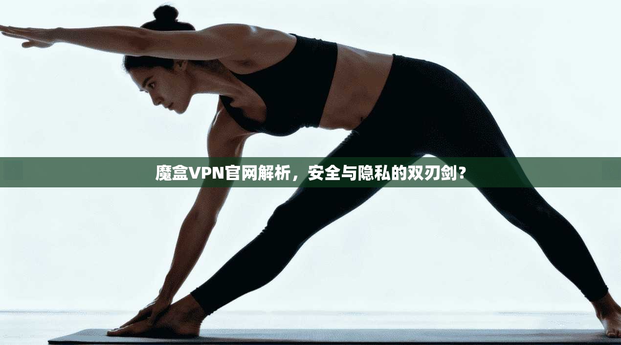 魔盒VPN官网解析，安全与隐私的双刃剑？  第1张